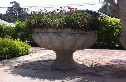 花盆12